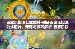 百家乐投注公式图片-揭秘百家乐投注公式图片，策略与技巧解析-百家乐投注公式图片