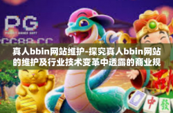 真人bbin网站维护-探究真人bbin网站的维护及行业技术变革中透露的商业规范探讨与建议措施工作组织方案-真人bbin网站维护