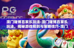 澳门赌博百家乐玩法-澳门赌博百家乐玩法，揭秘游戏规则与策略技巧-澳门赌博百家乐玩法