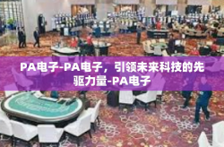 PA电子-PA电子，引领未来科技的先驱力量-PA电子