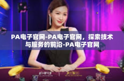 PA电子官网-PA电子官网，探索技术与服务的前沿-PA电子官网