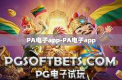 PA电子app-PA电子app