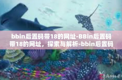 bbin后置码带18的网址-BBin后置码带18的网址，探索与解析-bbin后置码带18的网址