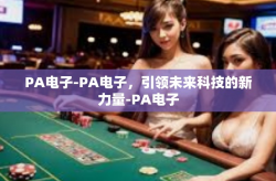 PA电子-PA电子，引领未来科技的新力量-PA电子