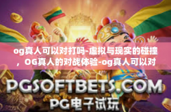 og真人可以对打吗-虚拟与现实的碰撞，OG真人的对战体验-og真人可以对打吗