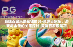 竞咪百家乐是花钱的吗-竞咪百家乐，游戏与金钱的关系探讨-竞咪百家乐是花钱的吗