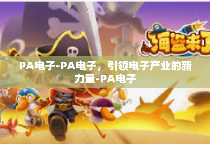 PA电子-PA电子，引领电子产业的新力量-PA电子