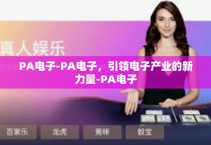 PA电子-PA电子，引领电子产业的新力量-PA电子