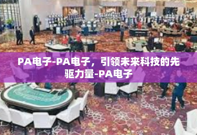PA电子-PA电子，引领未来科技的先驱力量-PA电子